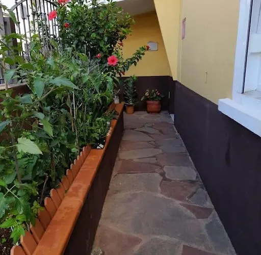 El Rincon De Nina * La Laguna (Tenerife)